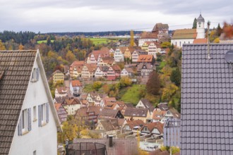 City view with visible church tower and half-timbered houses surrounded by autumn leaves on a hill,