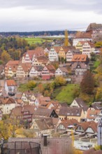 Idyllic city view with half-timbered houses on a hill surrounded by autumn leaves and cloudy sky,