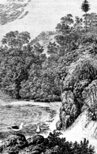 View of Conception Bay, forest, bay, seagulls, nature, Newfoundland, Canada, travel, historical