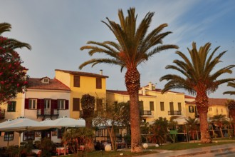 Old town of Nauplion, Mediterranean houses with palm trees in front of them in evening sunlight,