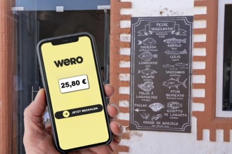 Symbolic image, photo montage, about the European WERO payment service, currently you can only send