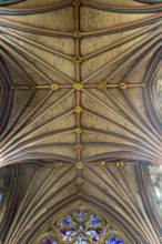 Looking up at vaulted ribbed ceiling inside Exeter cathedral church, Exeter, Devon, England, UK