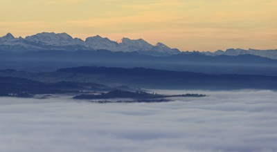 View from the Gisiflue over the sea of fog, the snowy Bernese Alps in the morning light, Talheim,