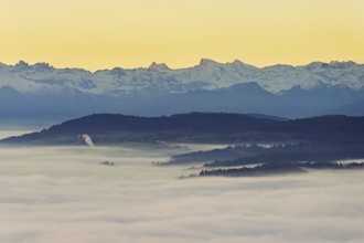 View from the Gisiflue over the sea of fog, with the snowy Central Swiss Alps with Mount Titlis in