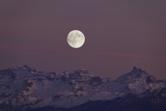 View from Horben of the snow-covered mountains from the left TÃ¶di, Chammliberg, SchÃ¤rhorn, in the