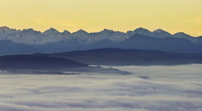 View from the Gisiflue over the sea of fog, with the snowy Central Swiss Alps in the morning light,