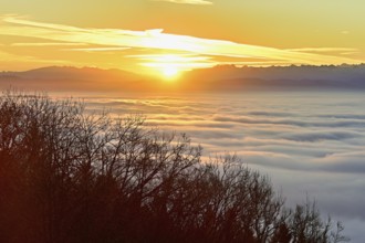 View from the Gisiflue over the sea of fog at sunrise, Talheim, Canton of Aargau, Switzerland