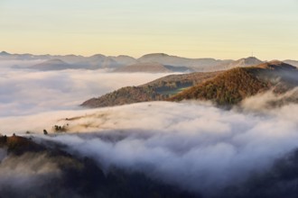View from the Gisliflue of the Jura foothill Wasserfluh covered in fog, in the light of the rising
