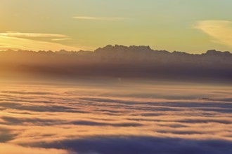 View from the Gisiflue over the sea of fog, the snow-covered Glarner Alps in the morning light,
