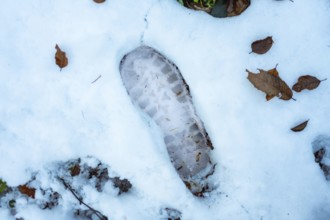 Boot tread leaving a clear imprint in the freshly fallen white snow, surrounded by scattered brown