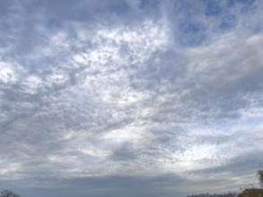 Extensive cloud cover with large layer of altostratus clouds with bag-shaped bulges at the bottom