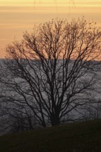 Landscape on an evening in autumn, November, Germany