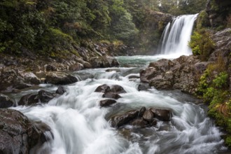 Tawhai Falls Waterfall (Gollum's Pool) . Where the Lord of the Rings film trilogies was filmed.