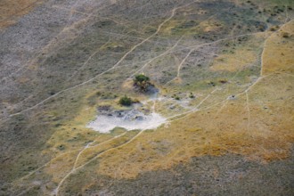 Paths, trails in the countryside, animal trails Aerial view of the Okavango Delta, near Maun,