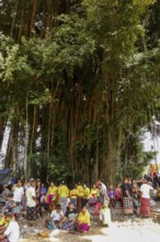 Combustion ceremony (Ngaben), preparation at the cremation site, Ubud, Bali, Indonesia