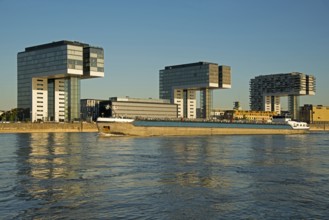 Crane Buildings, Rheinauhafen, Cologne, Rhineland, North Rhine-Westphalia, Germany