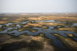 Wetland, landscape, aerial view of the Okavango Delta, near Maun, Okavango Delta, Botswana