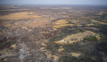 Dry season, structure and pattern of trails, burnt landscape, aerial view of the Okavango Delta,
