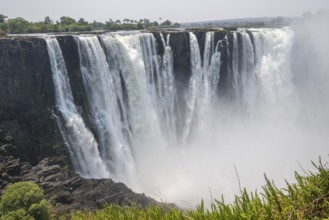 Water plunges into the depths, Victoria Falls with jungle and green plants, Zambezi, Zimbabwe