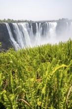 Water plunges into the depths, Victoria Falls with jungle and green plants, Zambezi, Zimbabwe