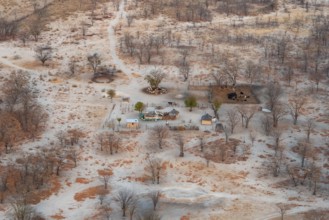 Settlement, simple house and fence, dry savanna landscape, near Maun, aerial view, Okavango Delta,