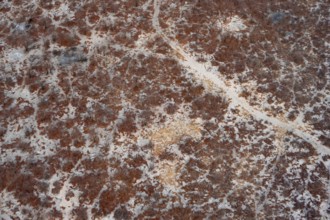 Structure, dry savanna landscape, near Maun, aerial view, Okavango Delta, Botswana