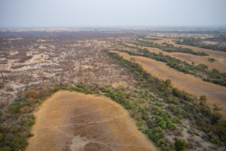 Arid savanna landscape, near Maun, aerial view, Okavango Delta, Botswana