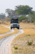 Off-road car, safari car driving on dust road, Third Bridge, Okavango Delta, Moremi Game Reserve,