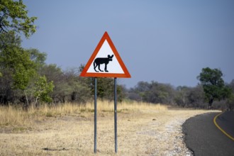 Street sign, attention hyena, funny, Botswana