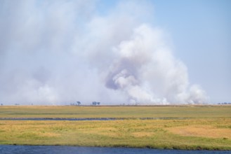 Wildfire, steppe fire, Ihaha, Chobe National Park National Park, Botswana