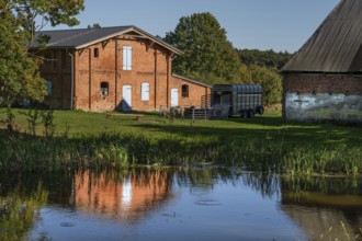 Manor with pond and pigsty from 1921, prefabricated sheep, Othenstorf, Mecklenburg-Western
