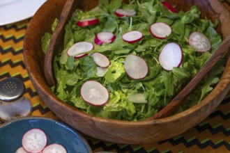 Mixed green salad with radishes in a wooden salad bowl, Mecklenburg-Vorpommern, Germany