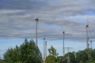 Wind turbines and power pylons on the B4, Rehna, Mecklenburg-Western Pomerania