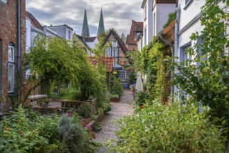 Gardens in the medieval corridors and courtyards of the old town, Hanseatic City of LÃ¼beck,