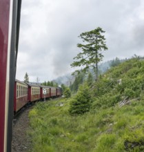 Steaming locomotive of the historic Brocken Railway with several red and white wagons travels from