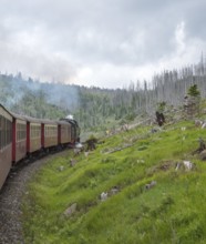 Steaming locomotive of the historic Brocken Railway with several red and white wagons travels from