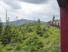 The locomotive of the historic Brocken Railway with several red and white wagons travels from Drei