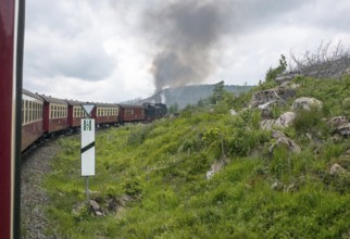 Steaming locomotive of the historic Brocken Railway with several red and white wagons travels from