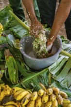 Local man, production of banana juice and banana schnapps, banana plantation, near Fort Portal,