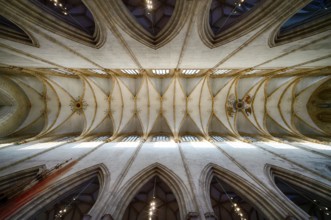 Interior photo, vaulted ceiling, church ceiling, central nave, interior view, Cathedral of Our Lady