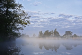Quiet morning atmosphere at the lake with fog and cloudy sky, Peenetal nature park Park,