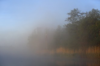 Foggy morning at the lake with rising sun, Peenetal nature park Park, Mecklenburg-Western