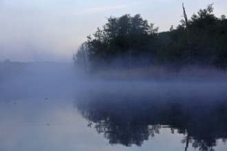 Fog over a calm body of water with trees in the background, Peenetal nature park Park,