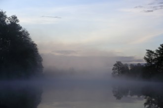 Misty morning atmosphere over a still body of water, surrounded by trees, Peenetal nature park