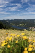 Titisee, Black Forest, Southern Black Forest, Baden-WÃ¼rttemberg, Germany