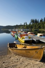 Morning atmosphere with colorful paddle boats and rowing boats, Schluchsee, Black Forest, Southern
