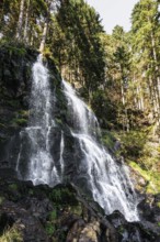 Zweribach Waterfalls, protected forest, St MÃ¤rgen, Black Forest, Southern Black Forest,