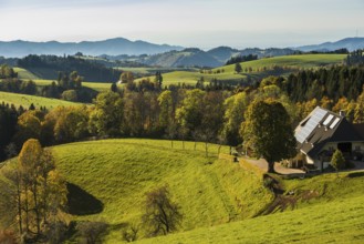 Hilly landscape in autumn, St MÃ¤rgen, Black Forest, Southern Black Forest, Baden-WÃ¼rttemberg,