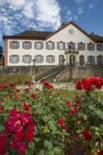 BÃ¼rgeln Castle, Obereggenen, Schliengen, Black Forest, Southern Black Forest, Baden-WÃ¼rttemberg,