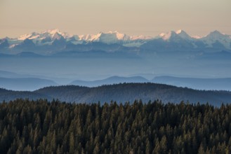View of the Swiss Alps from Feldberg, Black Forest, Southern Black Forest, Baden-WÃ¼rttemberg,